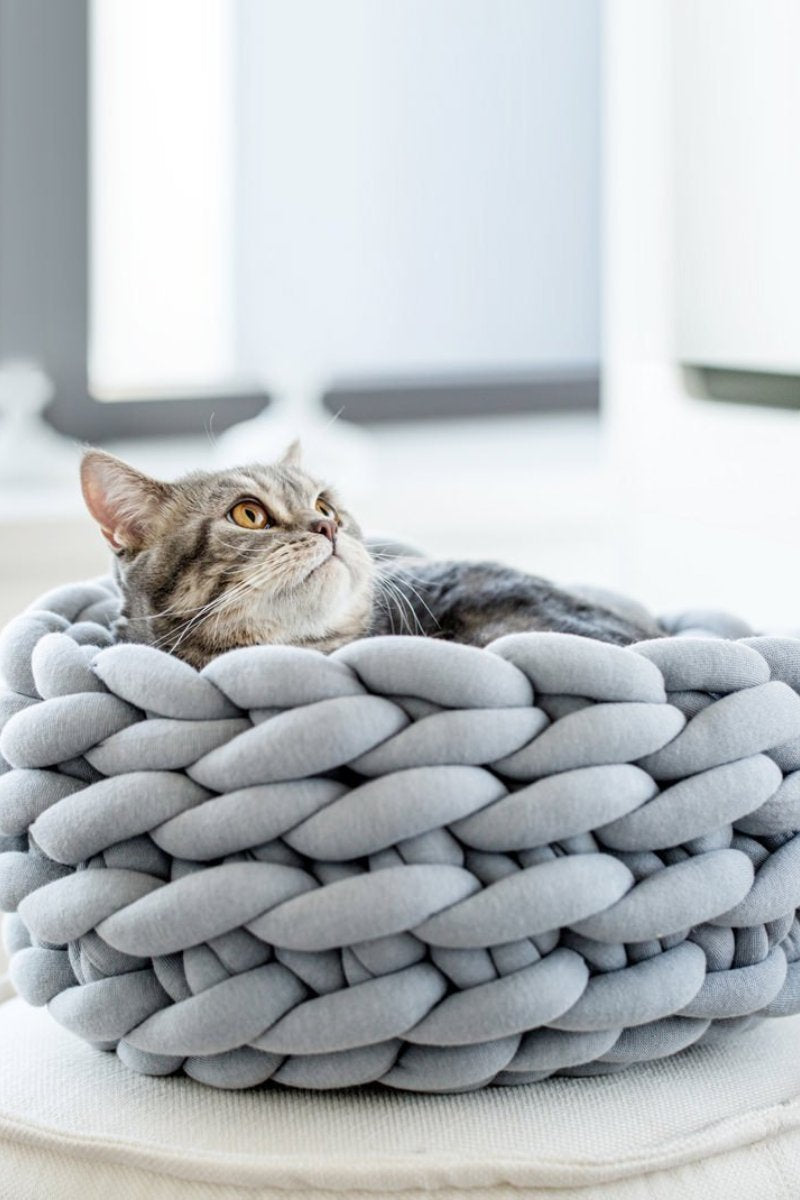 Canasta De Gato Gruesa